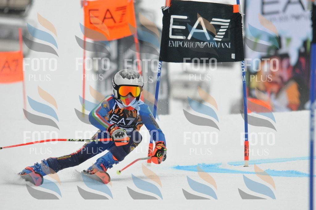 DSC_7788 | holidayphoto