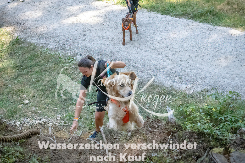 1155_ZZ92560 | kk-dogfotos
