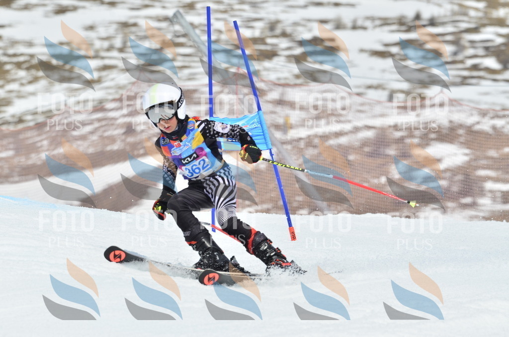 _ELE2881 | holidayphoto