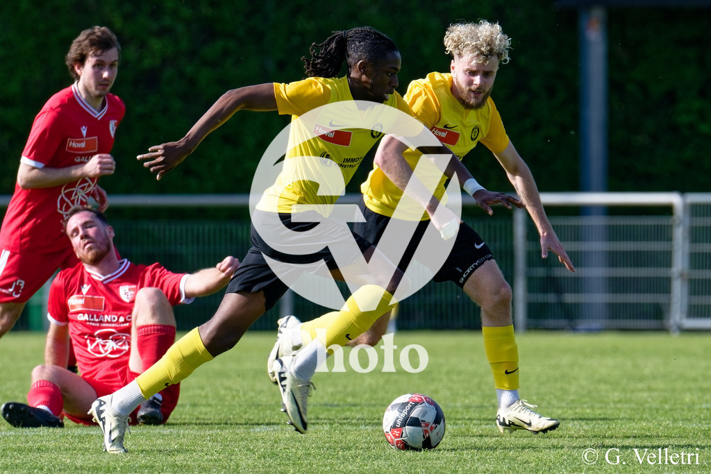 DSC_0689 | Velletri Photo