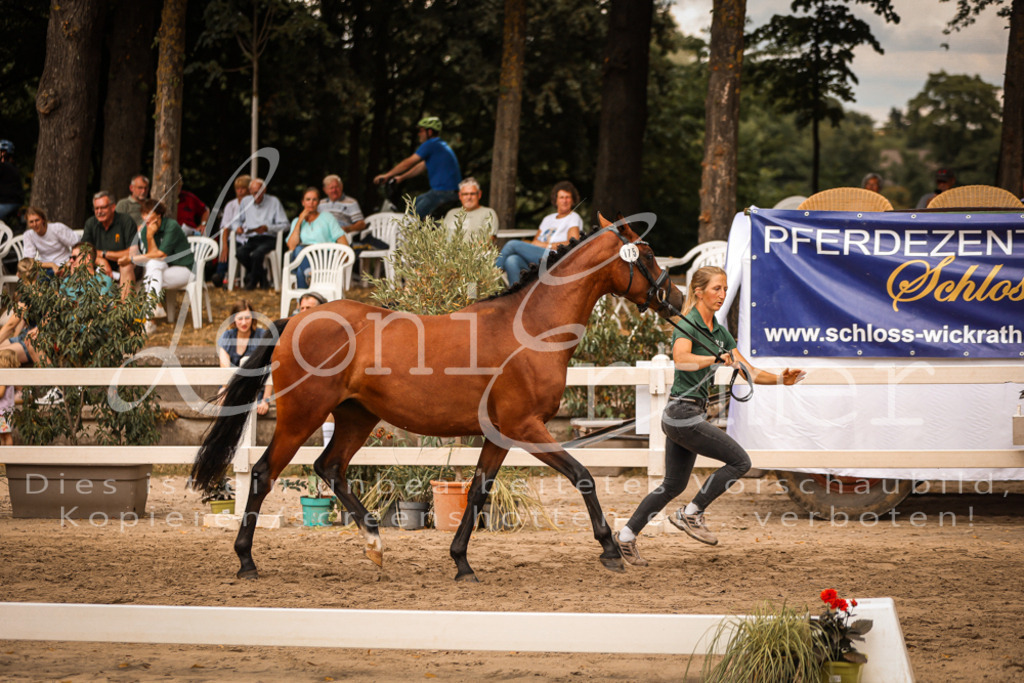 08.So00004 | Leoni Ertmer Photography - Realisiert mit Pictrs.com