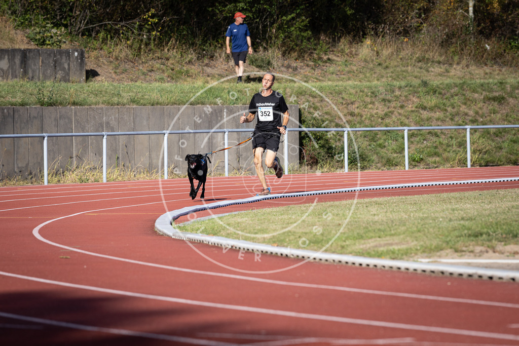 Pfotenfotografie_DV3A9794 | Hundefotografie, Tierfotograf, Pfotenfotografie, Fotoshooting Hund, Hunde Portrait, Hundesport, Hundeportraits, Heideshooting, Hunde, Sportfotograf, Hundefotograf, Turnierhundsport, THS,  - Realisiert mit Pictrs.com