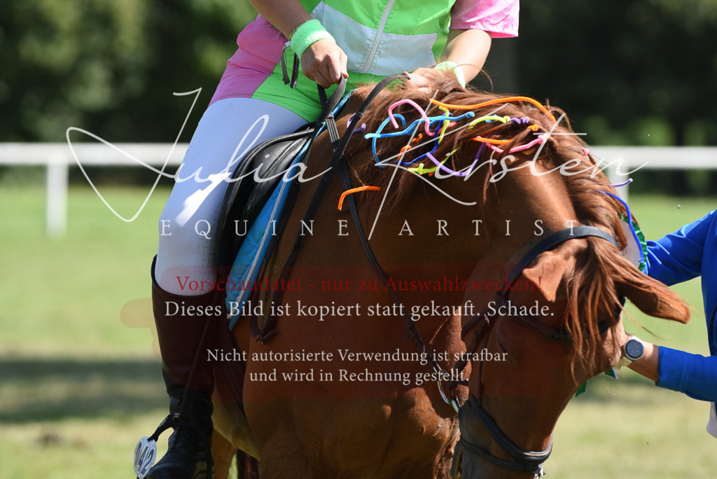 DSC_0476 | Pferde- und Turnierfotografie in Westsachsen. Pferdeportraits, Auftragszeichnungen und intuitive Kunst.