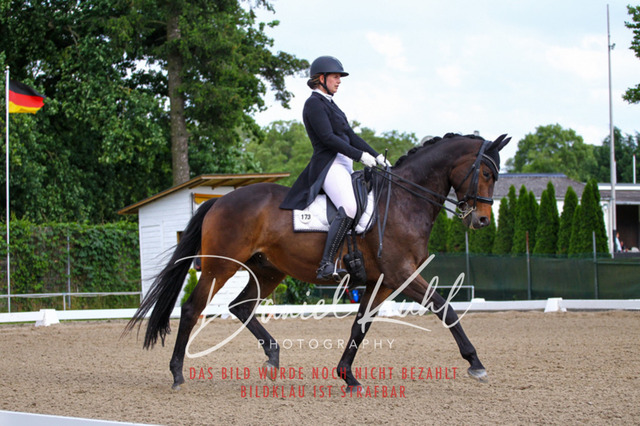 DKP41647 | Deine Turnierfotos vom Reitturnier online kaufen: Dressur, Springen & Siegerehrung. Professionelle Pferdefotografie aus dem Rheinland – als Download & Print.Alternative: Turnierfotograf für den Pferdesport: Finde deine Fotos von Dressur- und Springturnier