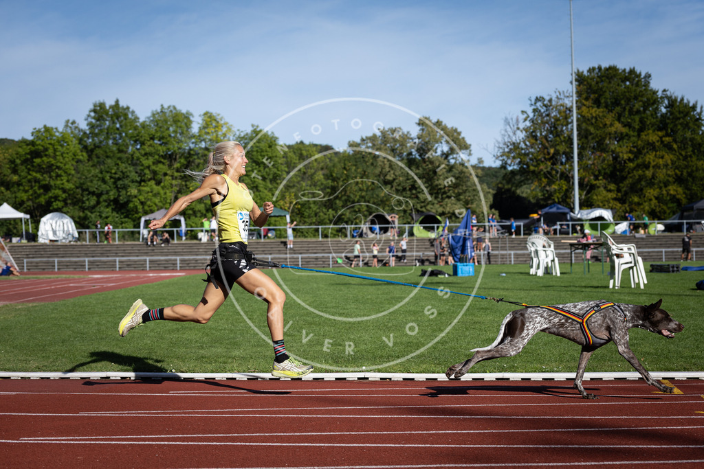 Pfotenfotografie_DV3A9636 | Hundefotografie, Tierfotograf, Pfotenfotografie, Fotoshooting Hund, Hunde Portrait, Hundesport, Hundeportraits, Heideshooting, Hunde, Sportfotograf, Hundefotograf, Turnierhundsport, THS,  - Realisiert mit Pictrs.com