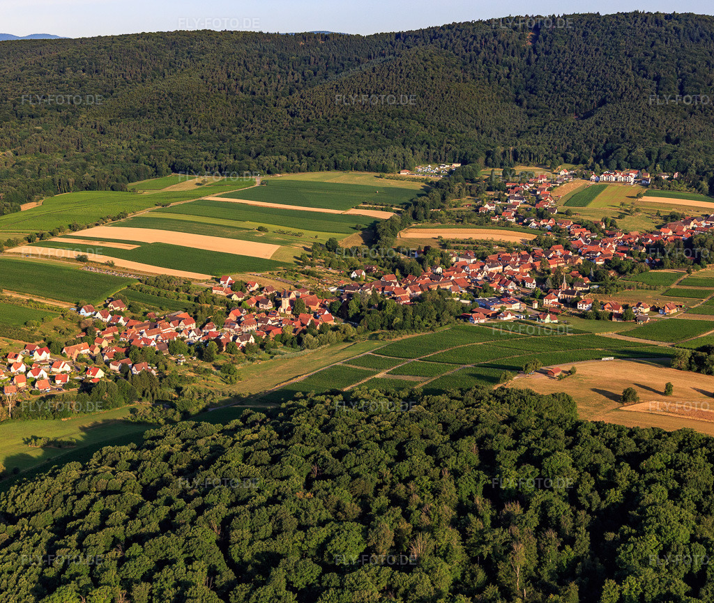 Luftbild: Ortsansicht aus Osten in Cleebourg im Bundesland Bas-Rhin in Frankreich. Foto: IMG_149339.jpg vom 05.07.2025 durch Werner Riehm/FLY-FOTO.de