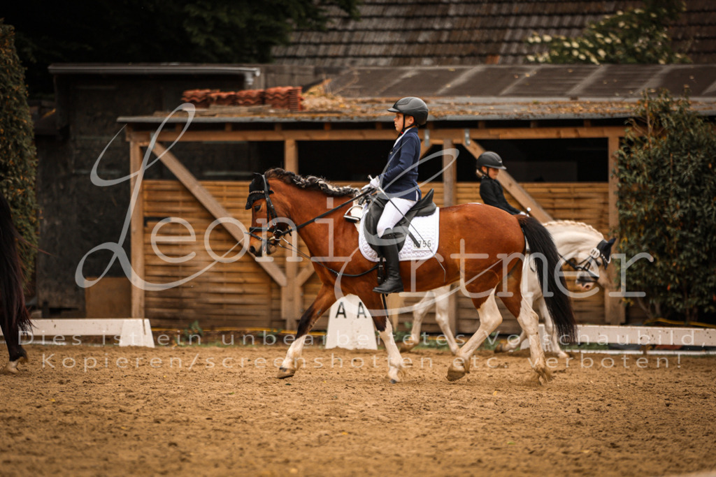 01.DoDrRWB00164 | Leoni Ertmer Photography - Realisiert mit Pictrs.com