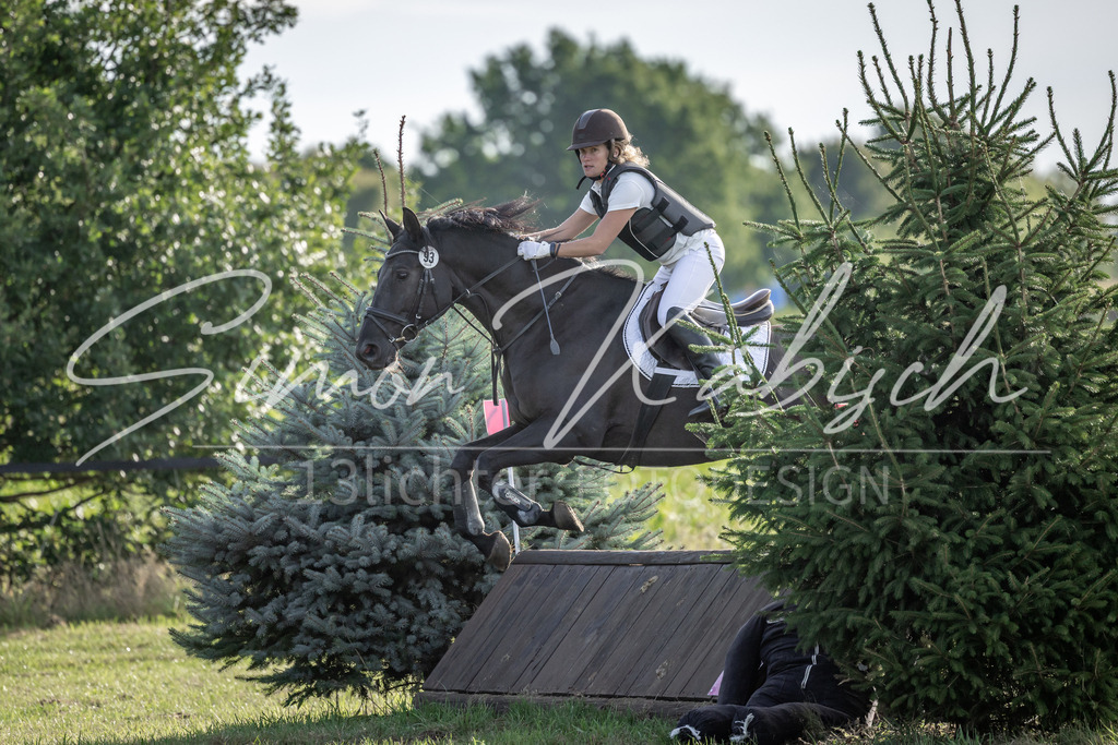 20250907-_3LI8604 | Tierfotografie Pferde, Hunde, Katzen, Haustiere.
Turnierfotografie Reitturniere, Reiten, Springreiten, Dressur in Hanau, dem Main-Kinzig-Kreis und dem Rhein-Main- Gebiet um Frankfurt
