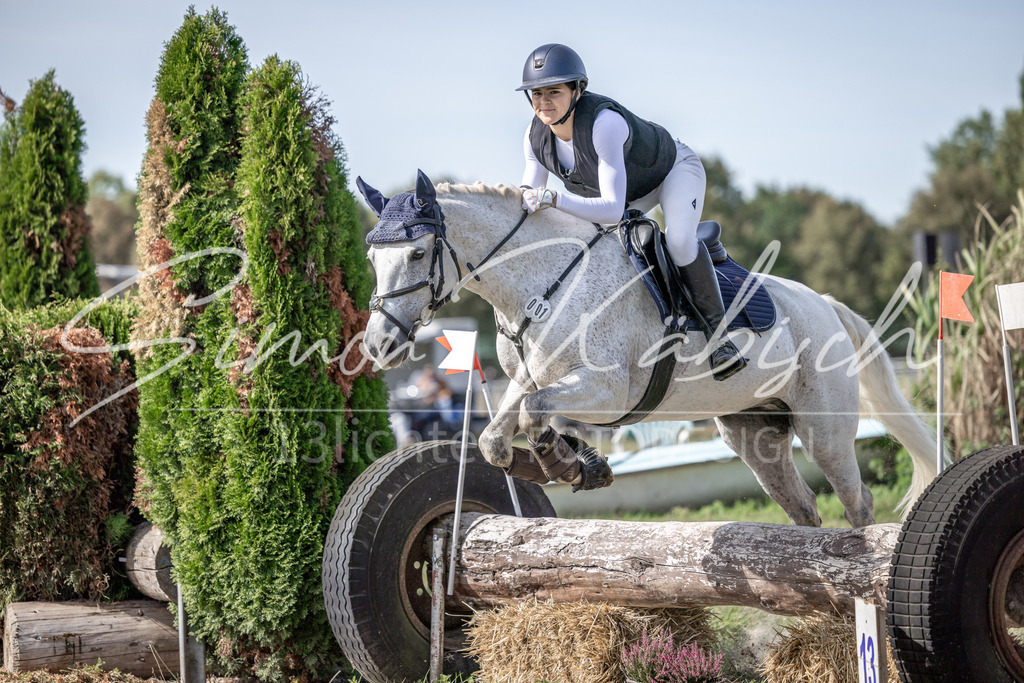 20250907-_3LI9808 | Tierfotografie Pferde, Hunde, Katzen, Haustiere.
Turnierfotografie Reitturniere, Reiten, Springreiten, Dressur in Hanau, dem Main-Kinzig-Kreis und dem Rhein-Main- Gebiet um Frankfurt