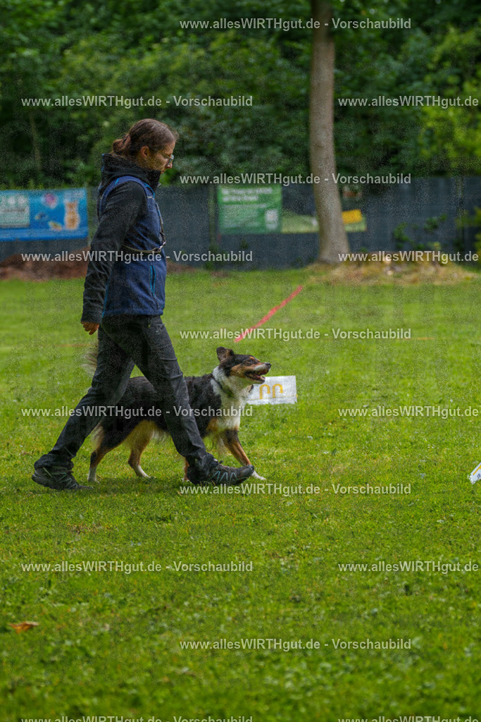 @allesWIRTHgut_Tierfotografie - www.allesWIRTHgut.de - 7R502377 | Professionelle Tierfotografie in Mönchengladbach von Daniel Wirth (allesWIRTHgut). Liebevolle & natürliche Bilder von Hunden & Katzen für unvergessliche Erinnerungen.