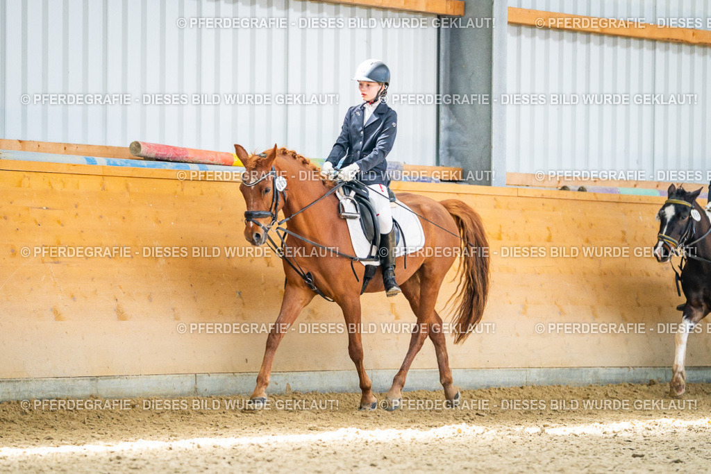 DSC03249 | Pferdegrafie