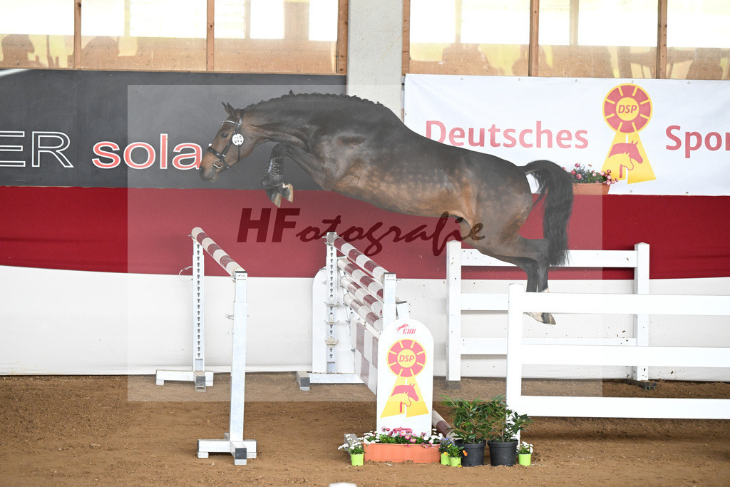Kat-Nr. 46 Unique v. Uno I_Haeussler u Sauber_9240893 | hf-fotografie - Realizzato con Pictrs.com