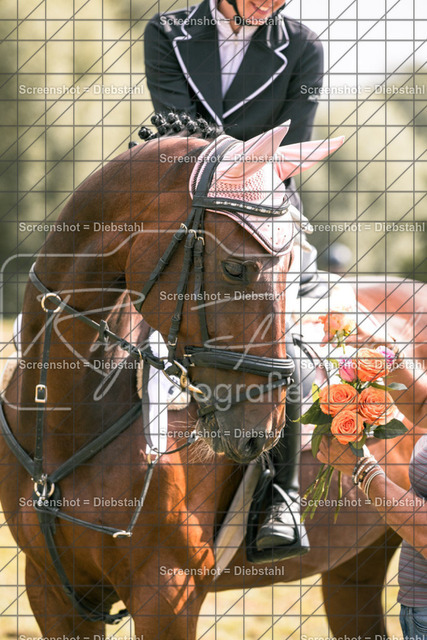 _W6A8641 | ronjaprokoschfotografie - Realisiert mit Pictrs.com