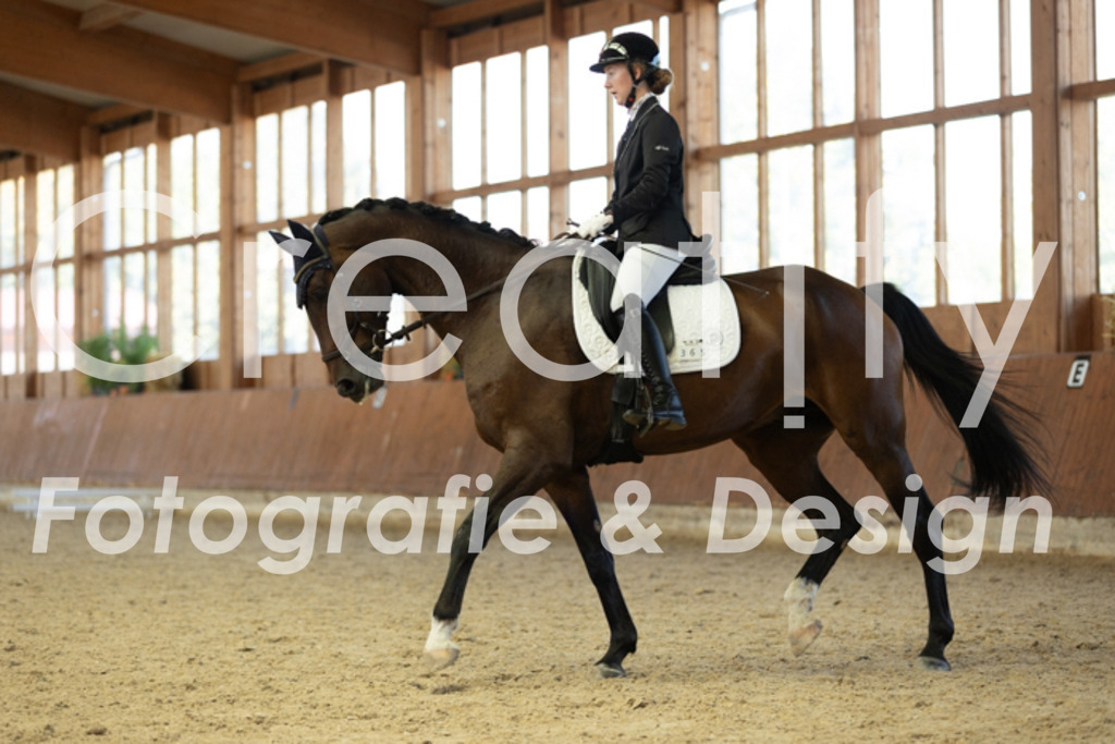 IMG_9398 | Creatify Fotografie