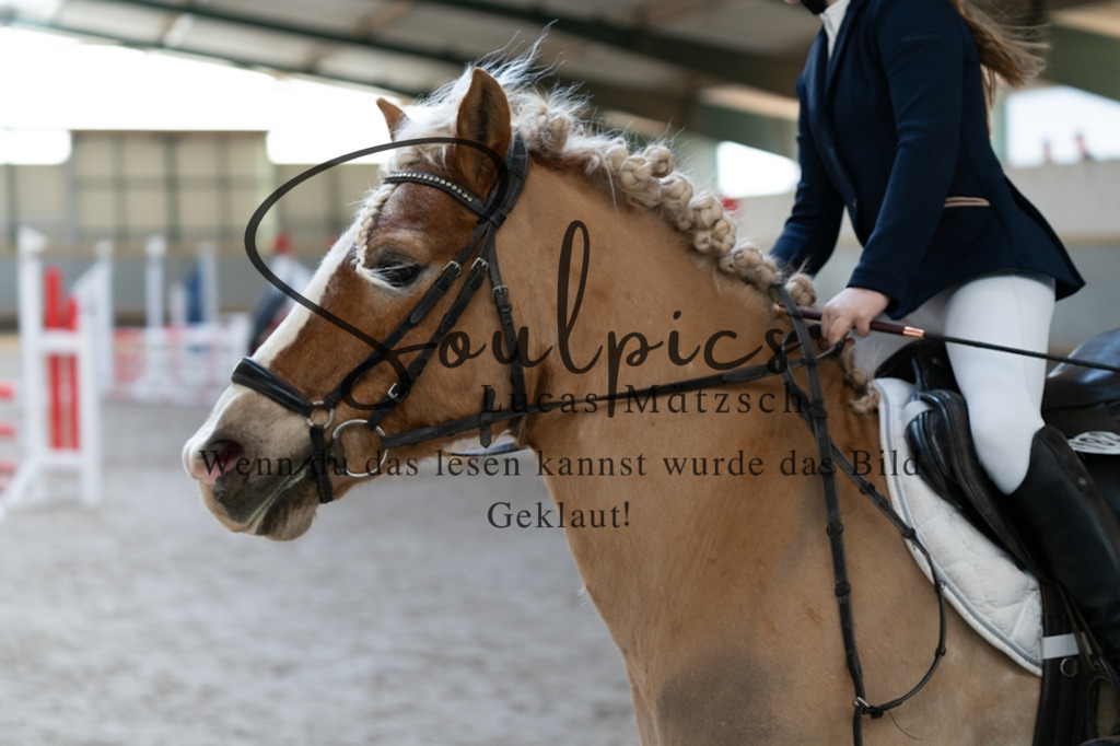 A7V06605 | Pferdefotograf