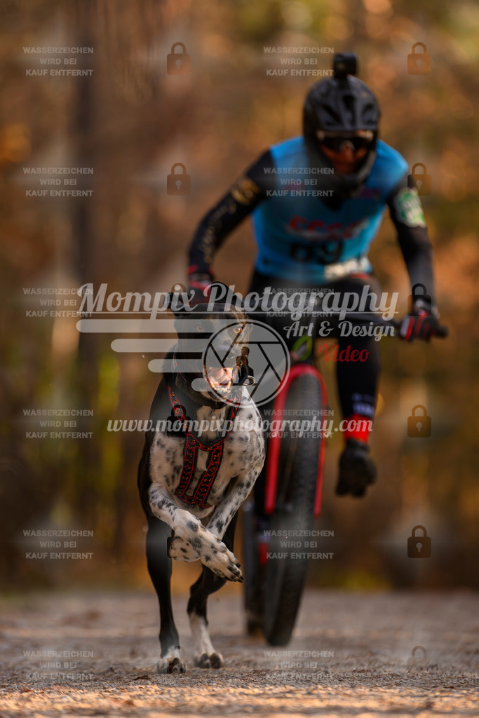 MompixPhotography_DM_AKDM_SO_2025_Scooter-94 | PayLife