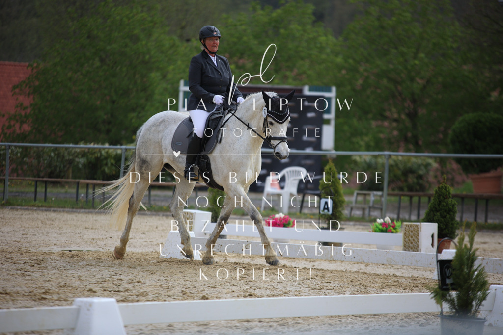 IMGT5821 | pl-fotografie