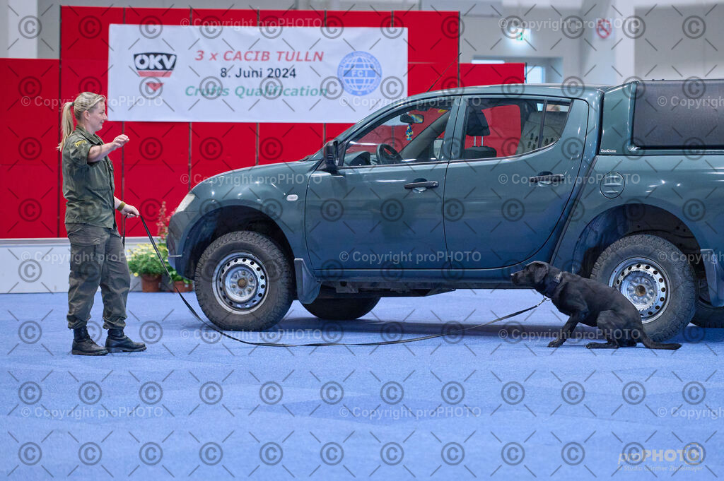 202406_ÖKV-IHA-Tulln24_DSC_3588 | proPHOTO - Realisiert mit Pictrs.com