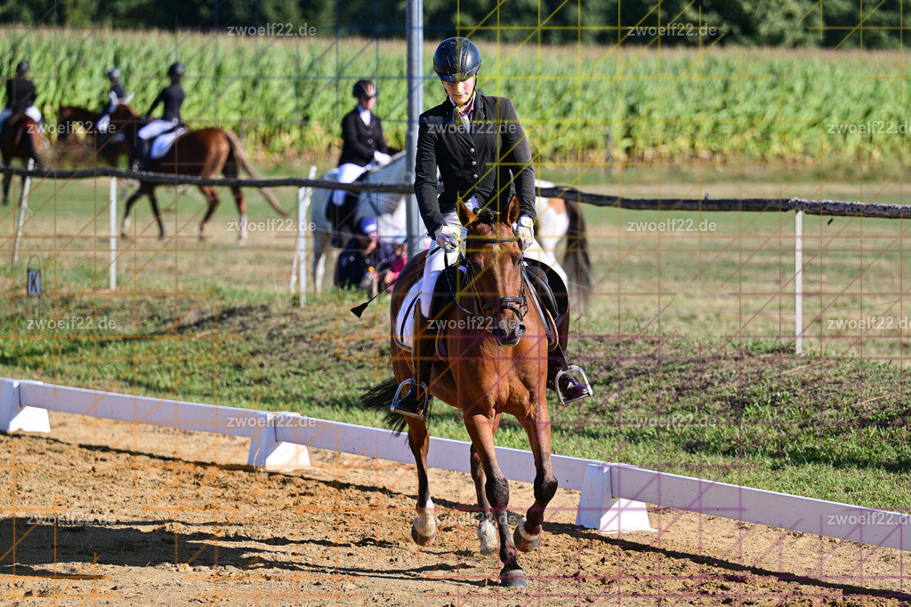 30 Jahre RFV Pulsnitz e.V., Pulsnitz am 09.08.2026 | Zur 28. breitensportlichen Veranstaltung des RFV Pulsnitz e.V. fanden verschiedene Wettbewerbe in nahezu allen Disziplinen des Pferdesport statt. - 04 Großer Dressur-Wettbewerb - Realisiert mit Pictrs.com