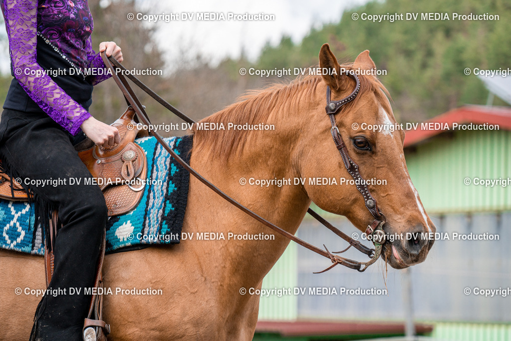 BAL02513 | dv-media-shop - Realisiert mit Pictrs.com