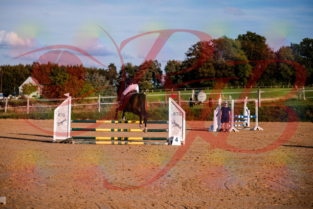 2026_10_03_Siefer-Hof_171027_Z81_07187857 | Professionelle Reitsport-, Turnier- und Eventfotografie von Robert Broda. Galerien mit ausgewählten und bearbeiteten Bildern direkt online ansehen und bestellen.