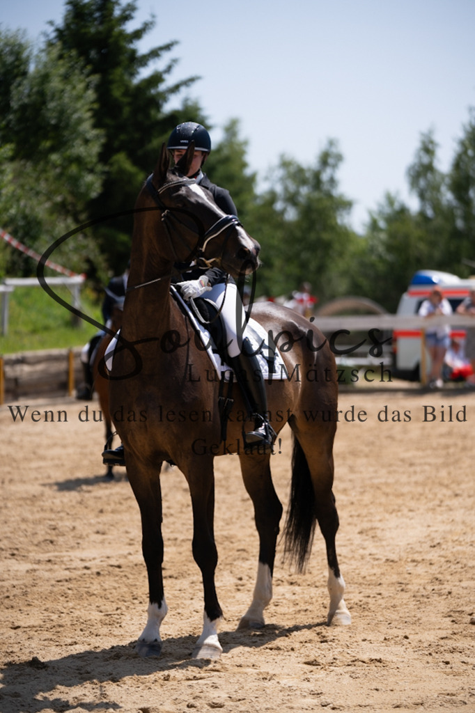 A7V08204 | Pferdefotograf