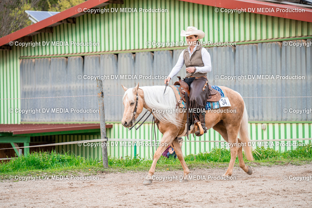 BA301003 | dv-media-shop - Realisiert mit Pictrs.com