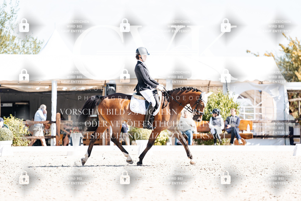 CK903732 | Turnierfotografie Pferdefotografie Trier Rheinland-Pfalz Pferdesport Reitsport Tierfotografie Sportfotografie Pferdevideo Pferdevideografie Equestrianvideography equestrianphotography  - Realisiert mit Pictrs.com