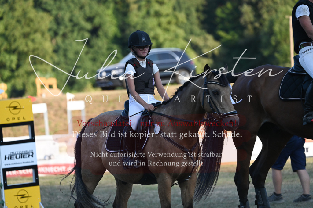 DSC_9273 | Pferde- und Turnierfotografie in Westsachsen. Pferdeportraits, Auftragszeichnungen und intuitive Kunst.