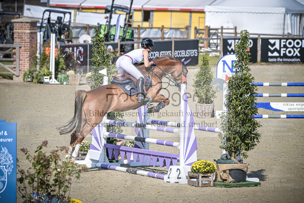 DOS_0763 | Entdecke hochwertige Reitturnierfotos von Foto Oger. Professionell, emotional und authentisch – jetzt Lieblingsmomente im Shop bestellen. - Realisiert mit Pictrs.com