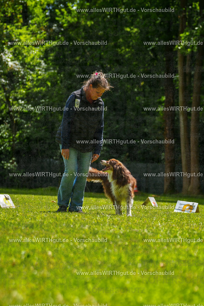 @allesWIRTHgut_Tierfotografie - www.allesWIRTHgut.de - 7R505422 | Professionelle Tierfotografie in Mönchengladbach von Daniel Wirth (allesWIRTHgut). Liebevolle & natürliche Bilder von Hunden & Katzen für unvergessliche Erinnerungen.