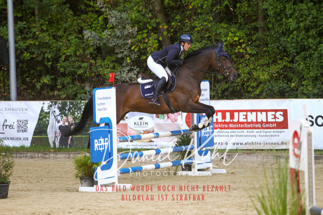DKP42710 | Deine Turnierfotos vom Reitturnier online kaufen: Dressur, Springen & Siegerehrung. Professionelle Pferdefotografie aus dem Rheinland – als Download & Print.Alternative: Turnierfotograf für den Pferdesport: Finde deine Fotos von Dressur- und Springturnier