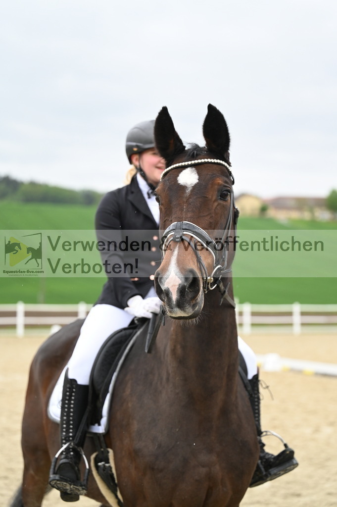 DSC_0197 | equestrian-live-com