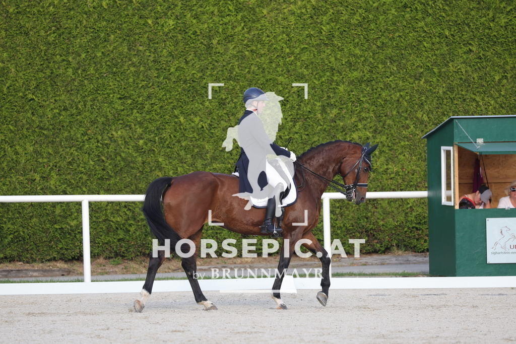 0P6A4219 | Willkommen bei Brunnmayr - Design & Fotografie – Ihrem Spezialisten für Reitturniere und Pferdeveranstaltungen in Oberösterreich, Salzburg und Bayern! Seit über 17 Jahren sind wir leidenschaftlich dabei.