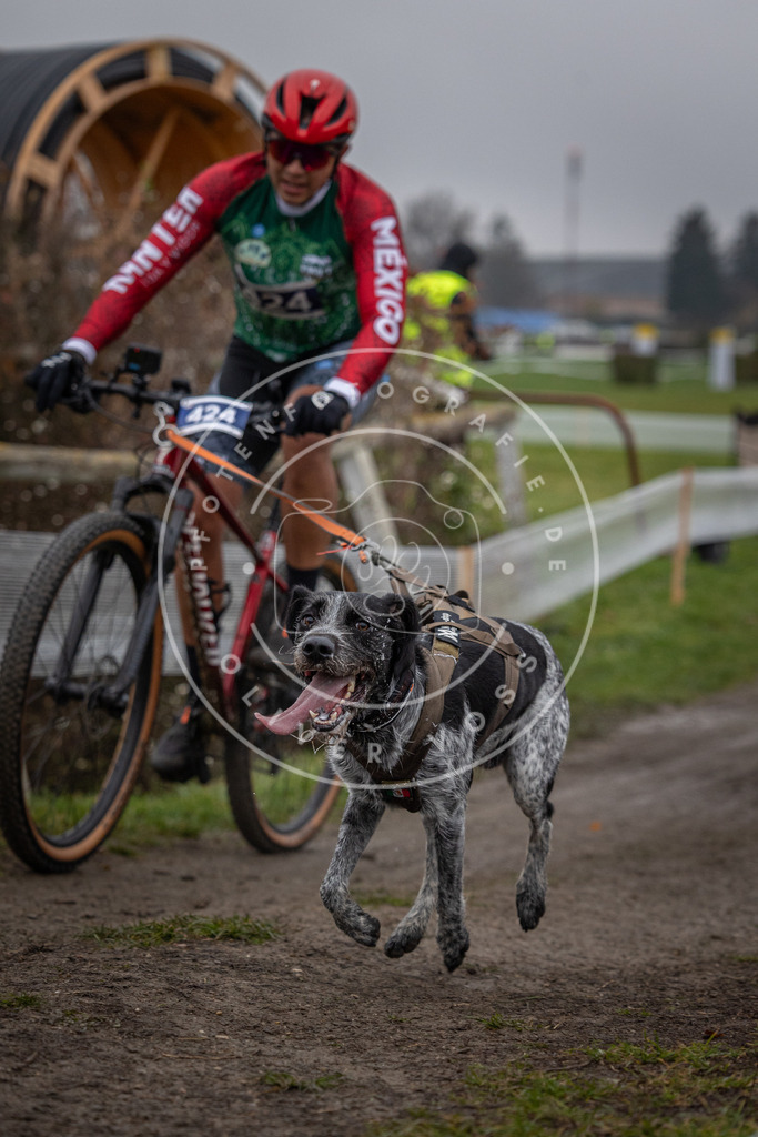 CaniXpix_0L8A1725 | Hundefotografie, Tierfotograf, Pfotenfotografie, Fotoshooting Hund, Hunde Portrait, Hundesport, Hundeportraits, Heideshooting, Hunde, Sportfotograf, Hundefotograf, Turnierhundsport, THS,  - Realisiert mit Pictrs.com