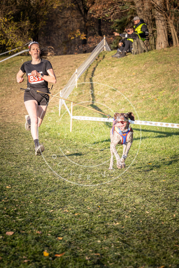 CaniXpix_0L8A0685 | Hundefotografie, Tierfotograf, Pfotenfotografie, Fotoshooting Hund, Hunde Portrait, Hundesport, Hundeportraits, Heideshooting, Hunde, Sportfotograf, Hundefotograf, Turnierhundsport, THS,  - Realisiert mit Pictrs.com