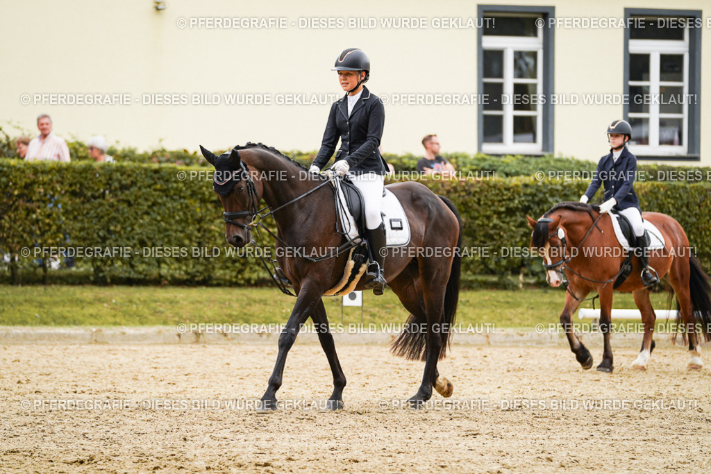 DSC00146 | Pferdegrafie