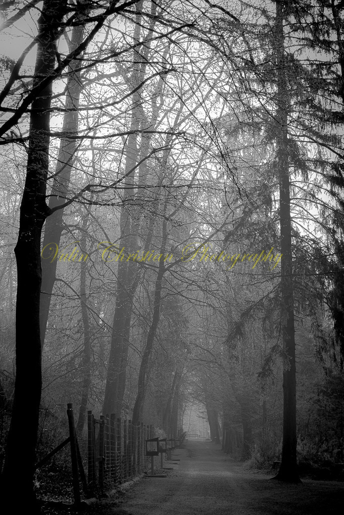 TPH 2p | Christian Vulin  - Realisiert mit Pictrs.com