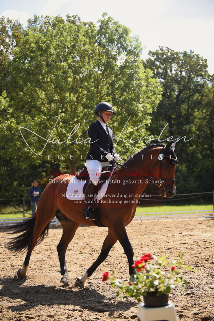 DSC_0568 | Pferde- und Turnierfotografie in Westsachsen. Pferdeportraits, Auftragszeichnungen und intuitive Kunst.