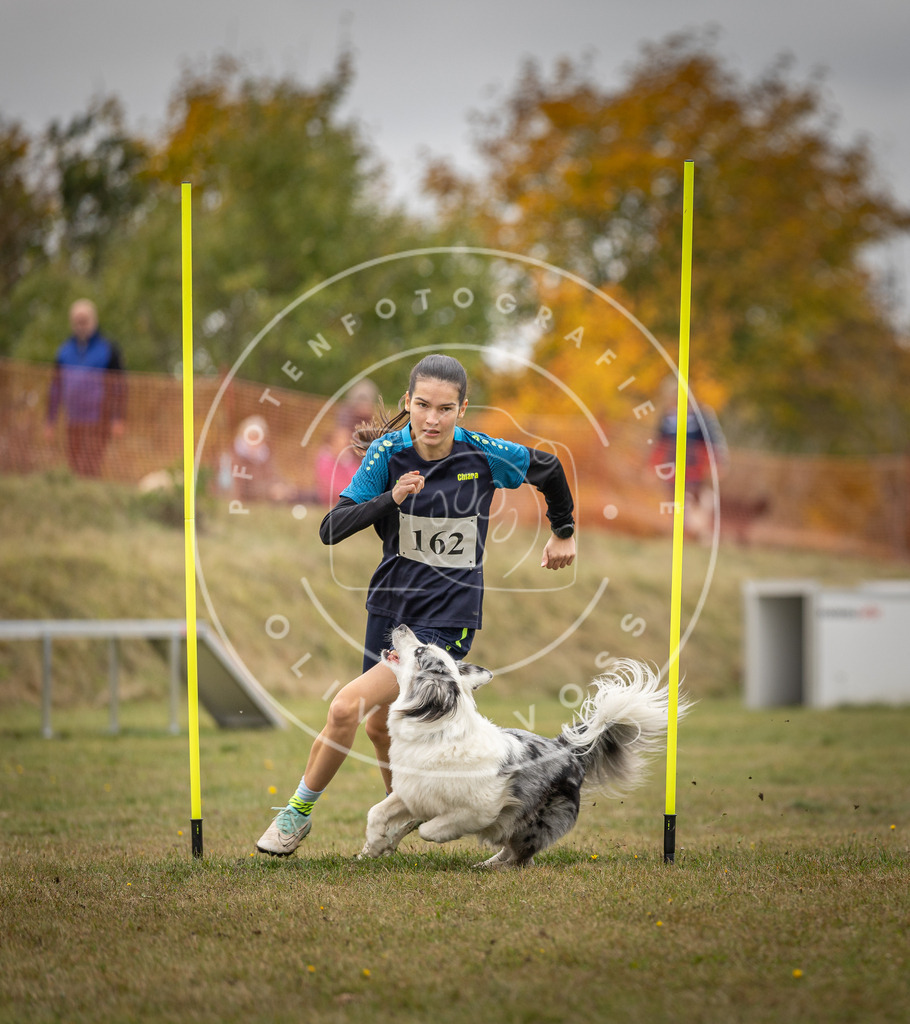 Pfotenfotografie_DV3A5157 | Hundefotografie, Tierfotograf, Pfotenfotografie, Fotoshooting Hund, Hunde Portrait, Hundesport, Hundeportraits, Heideshooting, Hunde, Sportfotograf, Hundefotograf, Turnierhundsport, THS,  - Realisiert mit Pictrs.com