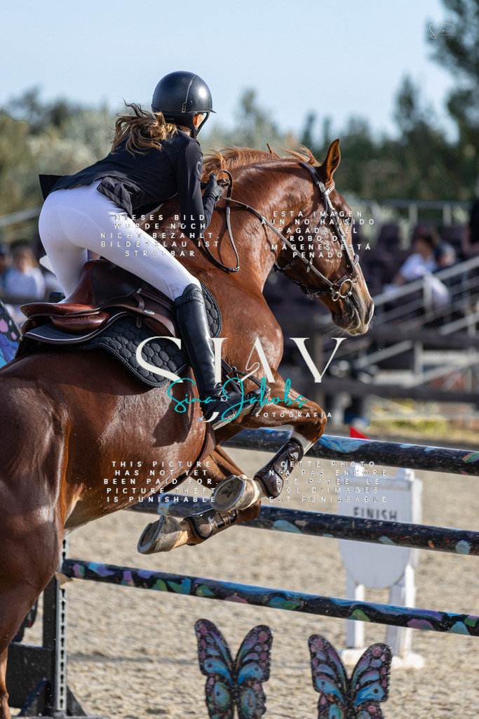 IMG_0409 | s-jay-photography - Realisiert mit Pictrs.com