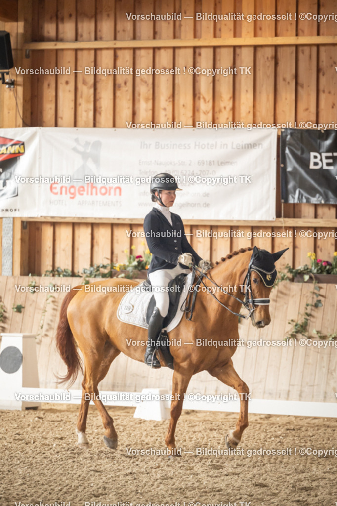 _D5A2774 | Emotionale Pferde- & People-Fotografie rund um Heidelberg, Leimen & Umgebung. Natürliche Fotos von Pferd, Mensch & Familie. Jetzt Termin sichern!