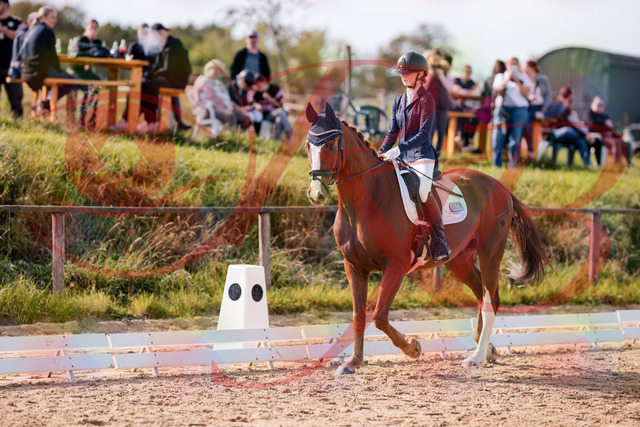 2026_10_03_Siefer-Hof_123410_Z81_31825323 | Professionelle Reitsport-, Turnier- und Eventfotografie von Robert Broda. Galerien mit ausgewählten und bearbeiteten Bildern direkt online ansehen und bestellen.