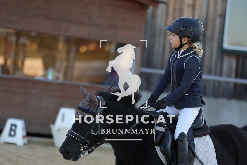 0P6A2572 | Willkommen bei Brunnmayr - Design & Fotografie – Ihrem Spezialisten für Reitturniere und Pferdeveranstaltungen in Oberösterreich, Salzburg und Bayern! Seit über 17 Jahren sind wir leidenschaftlich dabei.