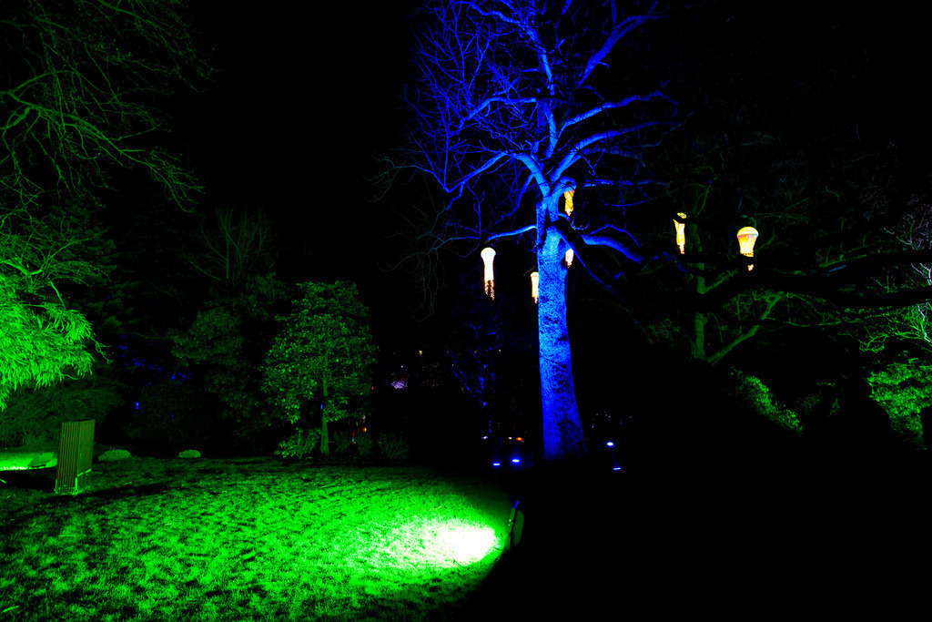 Parkleuchten_GrugaEssen24_42 | Bildergalerie von Sport-Ereignissen aber auch von weiteren spannenden Dingen - nicht nur vom Niederrhein. In Anlehnung an den bekannten Spruch von Hanns Dieter Hüsch heißt das Motto: "Niederrhein ist überall".  - Realisiert mit Pictrs.com