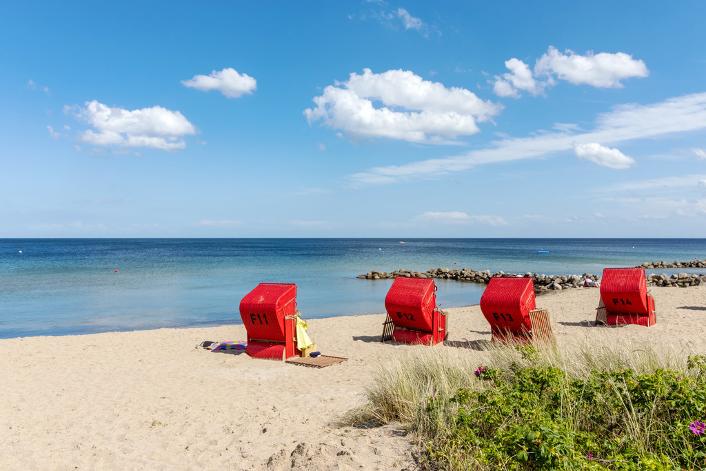 Wandbild: Strandkörbe am Strand in Schönhagen | Dieses Wandbild im Querformat zeigt Strandkörbe am Strand in Schönhagen. Im Vordergrund sind auf der rechten Seite Strandgras und Heckenrosen zu sehen. Am sommerlichen Himmel befinden sich einige sommerliche Wolken. - Realisiert mit Pictrs.com