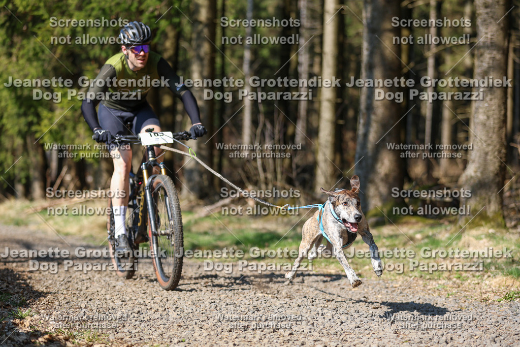 Dog Paparazzi - VCC26-145 | Dog Paparazzi Jeanette Grottendiek Fotografie & Videografie - Realisiert mit Pictrs.com