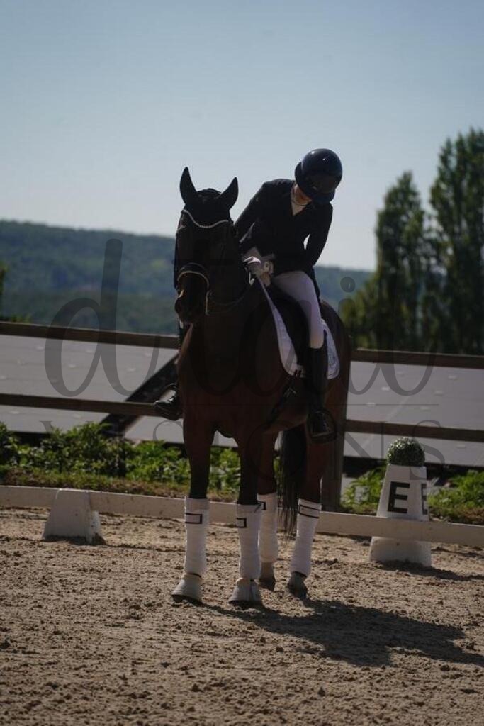 tgbhsonntag (1876) | d.tail Visions - Shop - Realisiert mit Pictrs.com