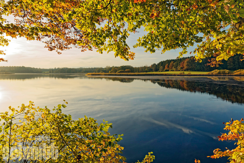 Holzmühle-Weiher im Abendlicht bei Immenried | Der Holzmühle-Weiher bei Immenried zeigt sich im warmen Abendlicht von seiner schönsten Seite. Die ruhige Wasserfläche und die sanften Farben der Abendsonne schaffen eine besonders stimmungsvolle Atmosphäre. - Realisiert mit Pictrs.com