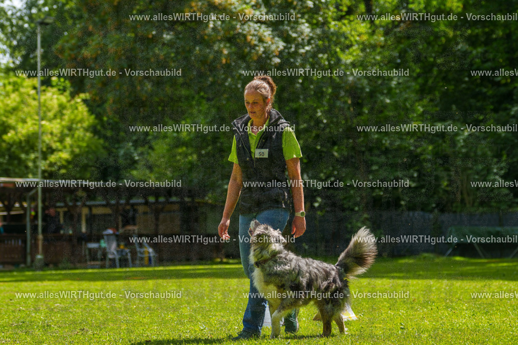 @allesWIRTHgut_Tierfotografie - www.allesWIRTHgut.de - 7R505875 | Professionelle Tierfotografie in Mönchengladbach von Daniel Wirth (allesWIRTHgut). Liebevolle & natürliche Bilder von Hunden & Katzen für unvergessliche Erinnerungen.